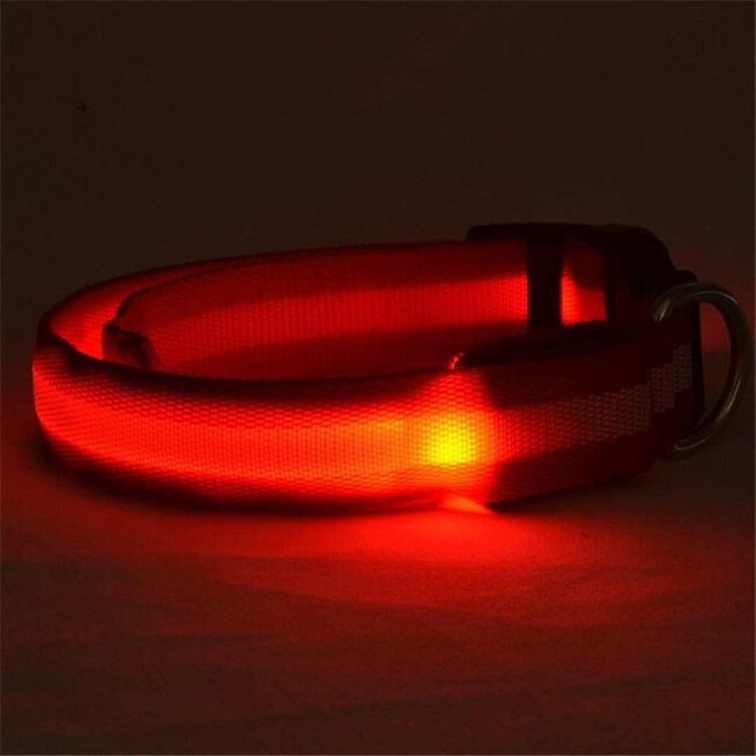 GlowGuard™ Rechargeable LED Dog Collar ✨