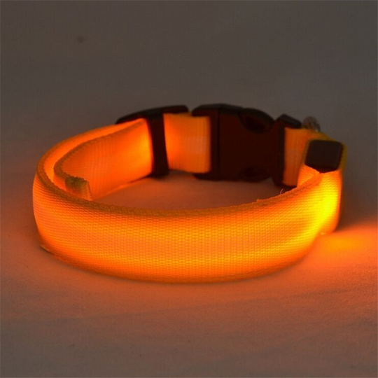 GlowGuard™ Rechargeable LED Dog Collar ✨