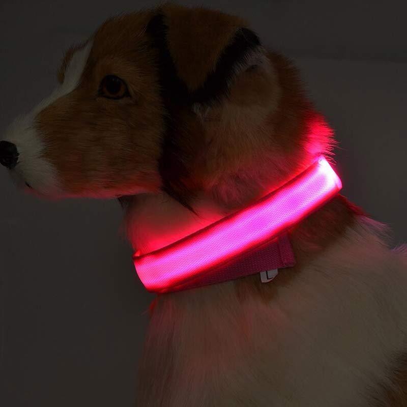 GlowGuard™ Rechargeable LED Dog Collar ✨