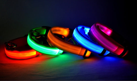 GlowGuard™ Rechargeable LED Dog Collar ✨