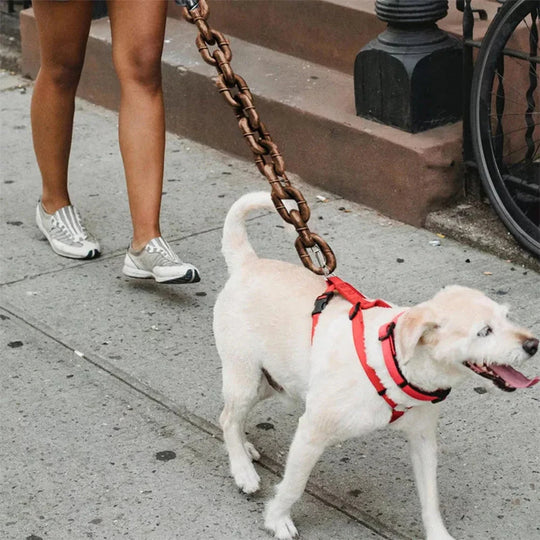 AlphaChain™ Heavy Duty Dog Leash ⛓️