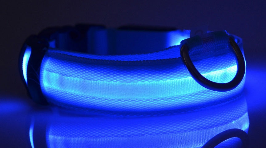 GlowGuard™ Rechargeable LED Dog Collar ✨