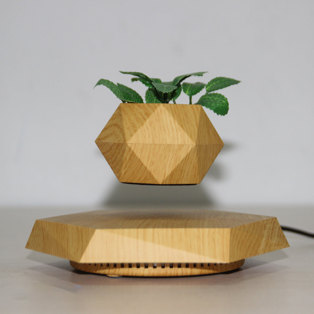 Levia™ | The Levitating Zen Planter ✨
