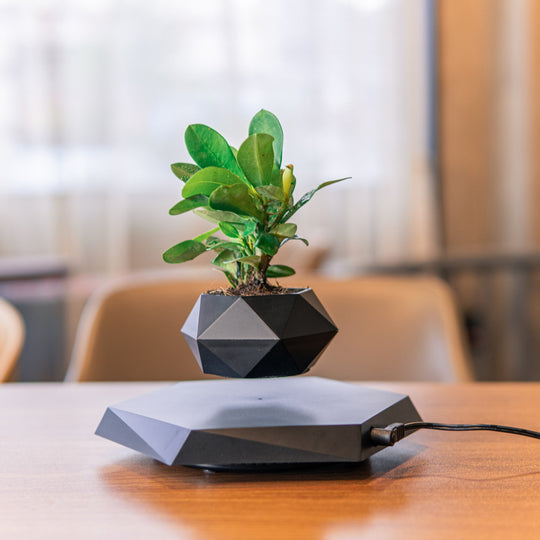 Levia™ | The Levitating Zen Planter ✨