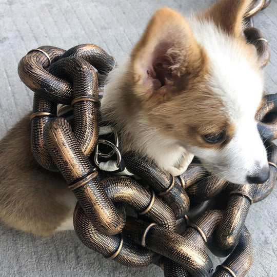 AlphaChain™ Heavy Duty Dog Leash ⛓️