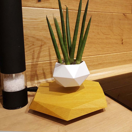Levia™ | The Levitating Zen Planter ✨