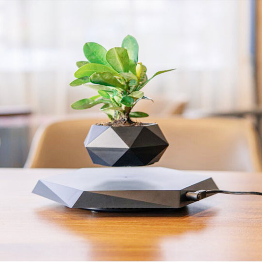 Levia™ | The Levitating Zen Planter ✨
