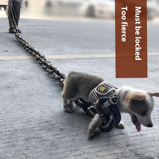 AlphaChain™ Heavy Duty Dog Leash ⛓️