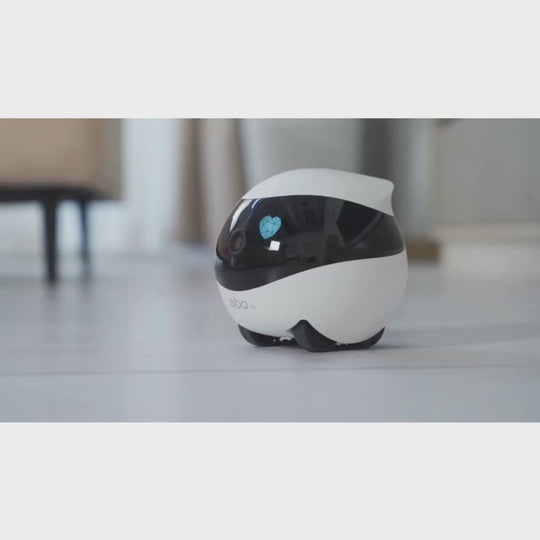 CompanionBot™ |  EBO The Smart 360° Pet & Security Robot 🤖❤️