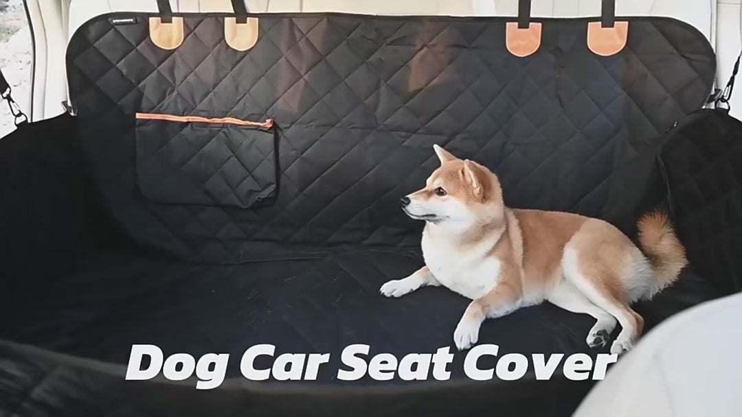 PawGuard™ Waterproof Car Hammock Protector 🐾