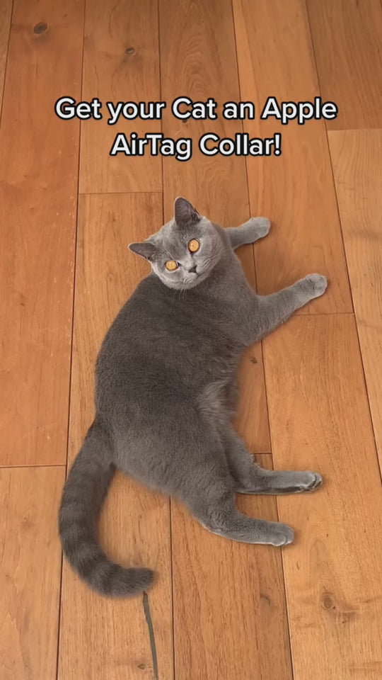 SafePaws™ AirTag Cat Collar | Safe, Stylish & Trackable! 🐾