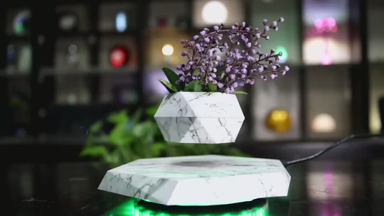 Levia™ | The Levitating Zen Planter ✨